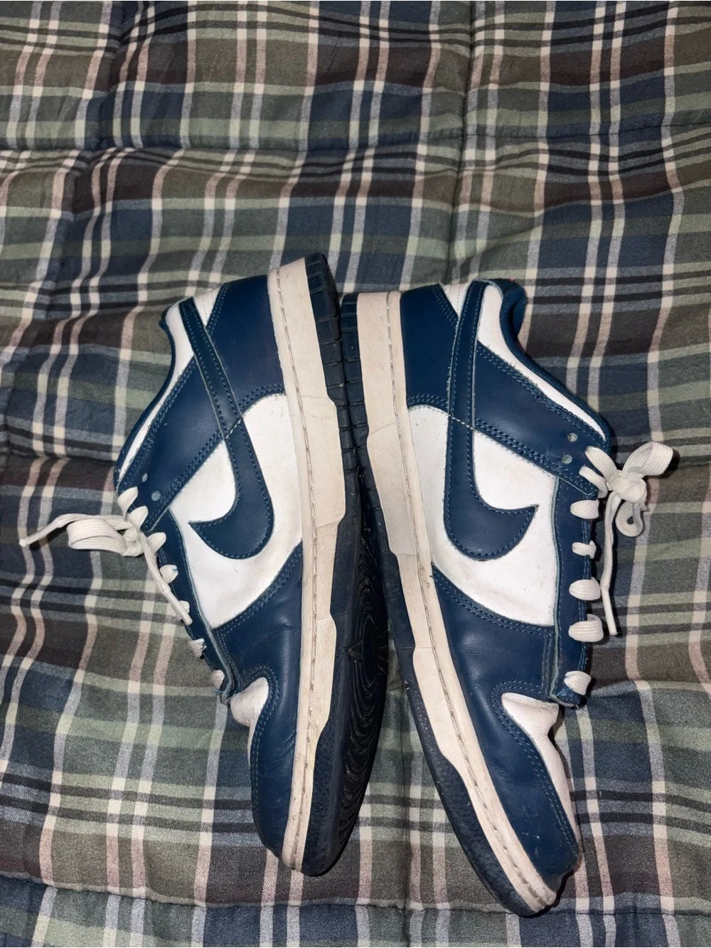 Nike Dunk Low Valerian Blue